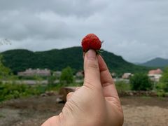 -帽儿山风景区