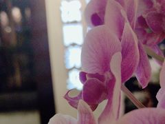 -璞·澐间影院式足道SPA(尚悦湾店)