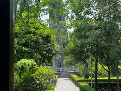 -上海佘山国家森林公园天马山园