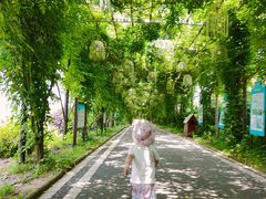 -武汉紫薇都市田园