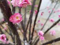 -壹号果仓(常熟三店)