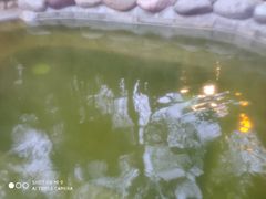 -花水湾第一村温泉大酒店