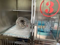 -芭比堂动物医院·犬猫全科·异宠专科(雁塔分院)
