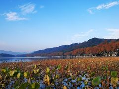 -北山街历史文化街区