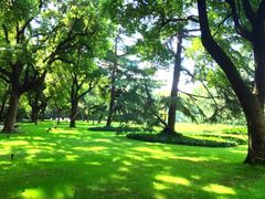 iphone_upload_pic-上海瑞金洲际酒店