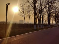 -汉长安城未央宫国家考古遗址公园