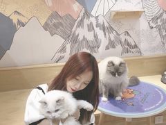 -滚猫咖啡·猫咖·猫友好撸猫(未来城店)