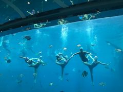景观位-瑞德姆美人鱼海底演艺主题餐厅(亚龙湾店)