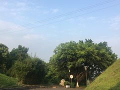 -张坝桂圆林公园