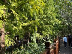 -溱湖国家湿地公园