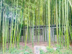 -趵突泉景区