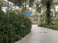 -南宫五洲植物乐园