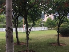 -厦门国家会计学院