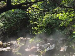 -红崖峡谷景区