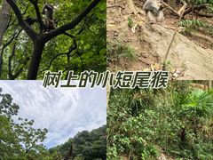 -黔灵山公园