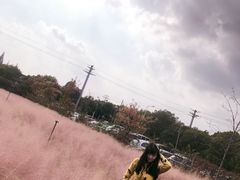 -鹅湖玫瑰文化园