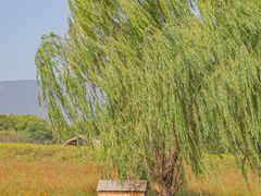 -良渚古城遗址公园