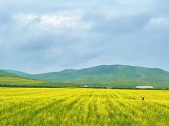 -中国马镇舞马世界主题乐园
