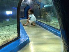 -福州罗源湾海洋世界旅游区