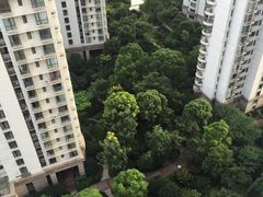 -新湖明珠城