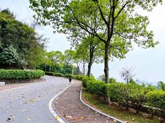 -火炉山森林公园