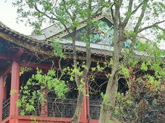 -顺峰山公园