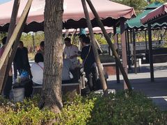 -春花秋色城市公园