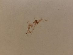 -麦当劳(南京水西门大街店)