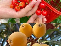 -广州市红十字会医院(总院)