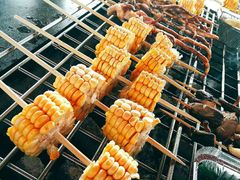 -春花秋色城市公园