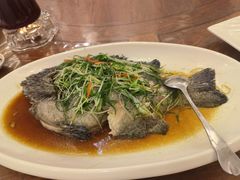 -四海之家(蛇口店)
