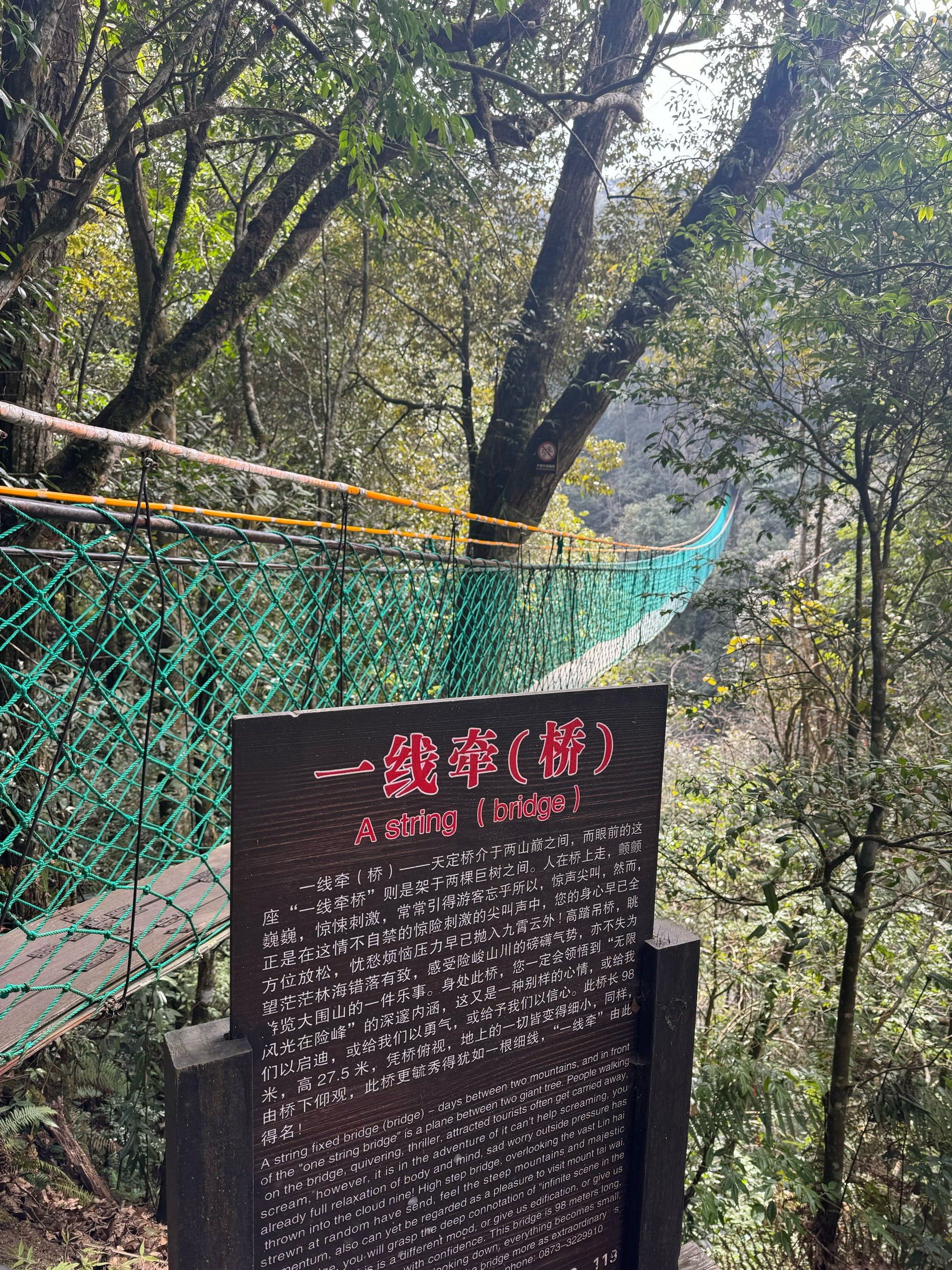 云南旅游攻略 #大围山 
ab大环线景点全get保姆级攻略
至少贪前