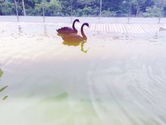 -行者书屋大堂吧 ·下午茶(南京圣和府邸酒店)