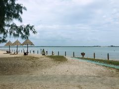 -北海金海湾红树林生态旅游区