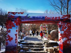 -北京西山国家森林公园