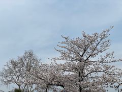 -鸡鸣寺