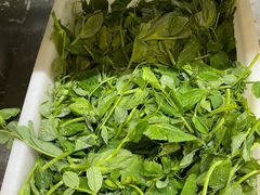 -正宗简阳羊肉汤(荣盛·布鲁明顿广场店)
