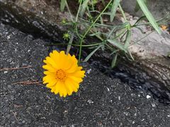 -木子山庄·安徽省老字号·中国炖锅宴