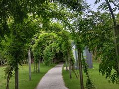 -上海长兴岛郊野公园