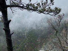 -庐山风景区花径公园