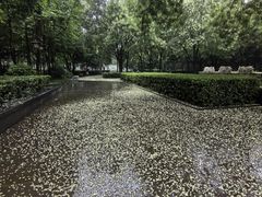 -木塔寺遗址生态公园
