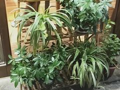 -猫的天空之城概念书店(杭州南宋御街店)