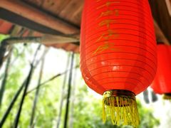 -鲤鱼塘农家山庄