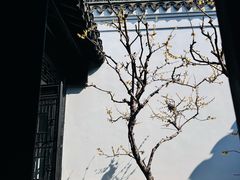 -绮园景区
