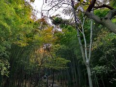 -穹窿山景区