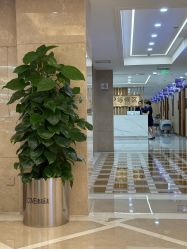 -南京康美美容医院·旗舰店