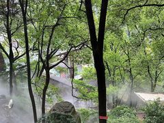 -巴倒烫陆派火锅山庄(南山总店)