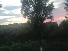 -羊山湖公园