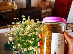 百香果酒-春风十里咖啡馆