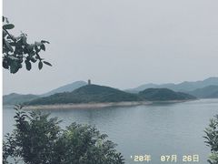 -望湖烤鱼